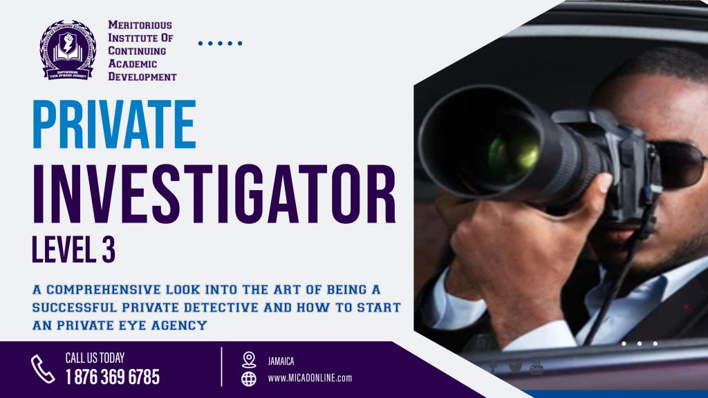 Private Investigator – Level 3